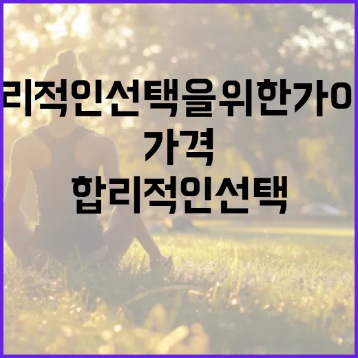 마운자 가격 제대로 이해하기: 합리적인 선택을 위한 가이드 - 요약
