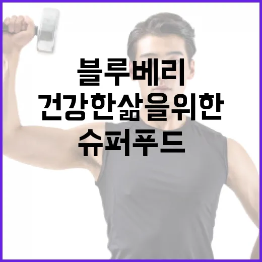 블루베리, 건강한 삶을 위한 작은 슈퍼푸드 - 요약