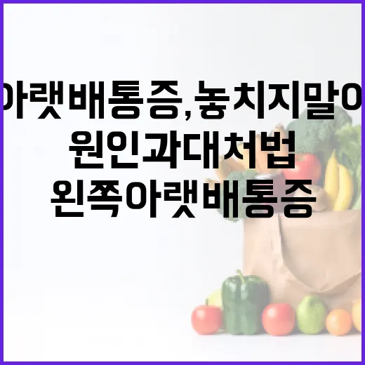 왼쪽 아랫배 통증, 놓치지 말아야 할 원인과 대처법 - 요약