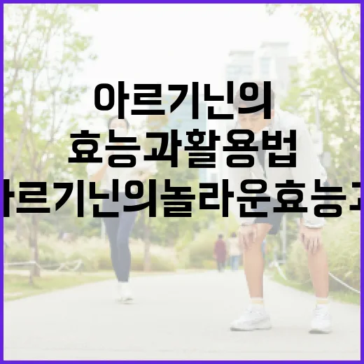아르기닌의 놀라운 효능과 활용법 - 요약