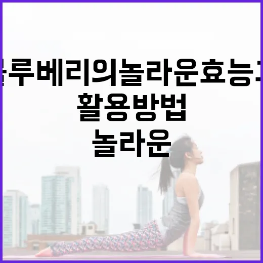 블루베리의 놀라운 효능과 활용 방법 - 요약