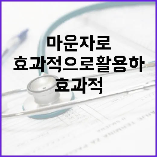 마운자로를 효과적으로 활용하는 방법 - 요약