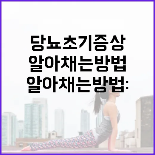 당뇨 초기증상 알아채는 방법: 건강을 지키는 첫걸음 - 요약