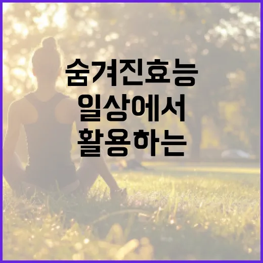 마그네슘의 숨겨진 효능과 일상에서 활용하는 방법 - 요약