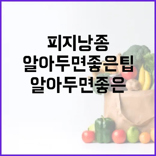 피지낭종 관리 방법: 알아두면 좋은 팁 - 요약