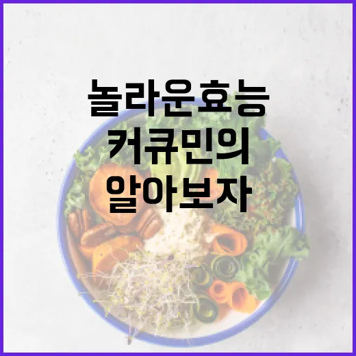 커큐민의 놀라운 효능을 알아보자: 건강을 위한 선택 - 요약