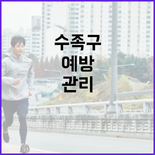 수족구를 예방하고 관리하는 방법 - 요약