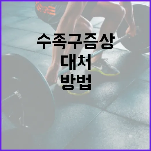 수족구 증상을 알아보고 대처하는 방법 - 요약