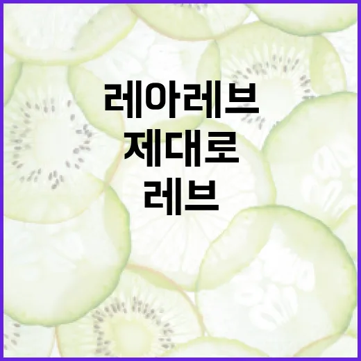 레아레브 제대로 활용하는 방법 - 요약
