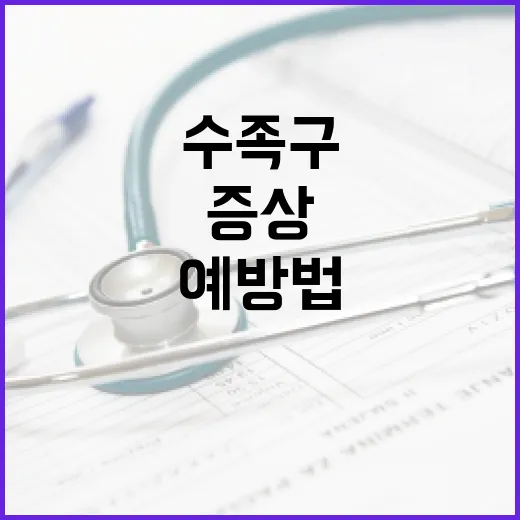 수족구, 제대로 알자: 증상부터 예방법까지 - 요약