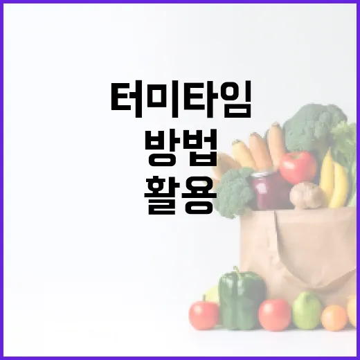 터미타임을 활용하는 방법: 스트레스 해소와 재충전의 비밀 - 요약