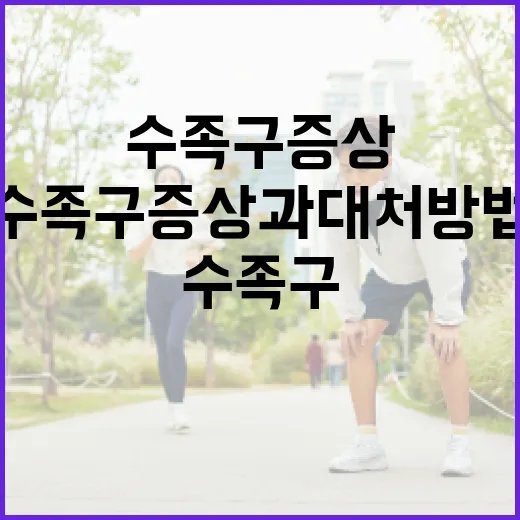 수족구 증상과 대처 방법, 이젠 걱정 마세요! - 요약