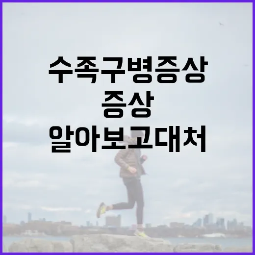 수족구병 증상 알아보고 대처하는 방법 - 요약