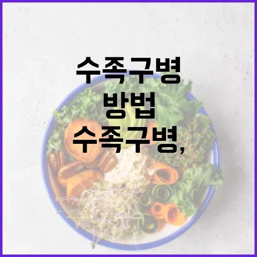 수족구병, 제대로 이해하고 예방하는 방법 - 요약