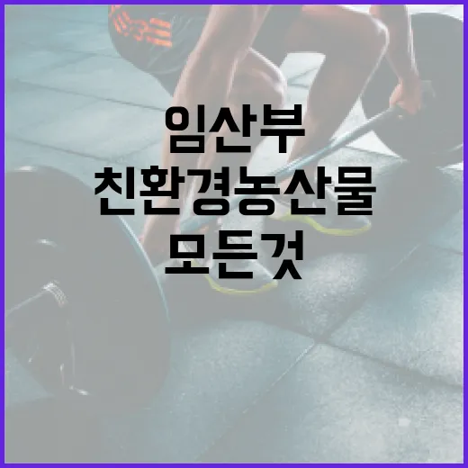 임산부를 위한 친환경 농산물 선택의 모든 것 - 요약