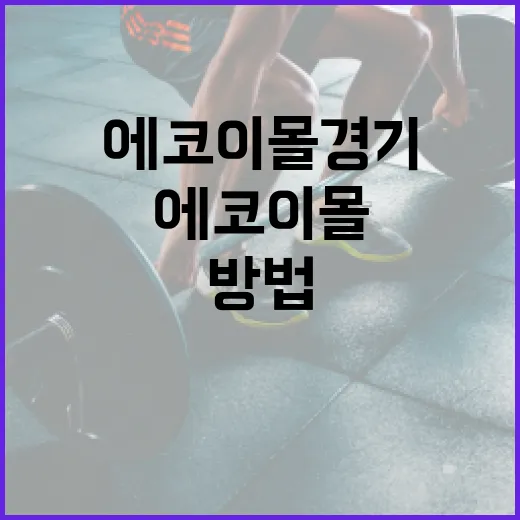 에코이몰 경기에서 성공적으로 쇼핑하는 방법 - 요약