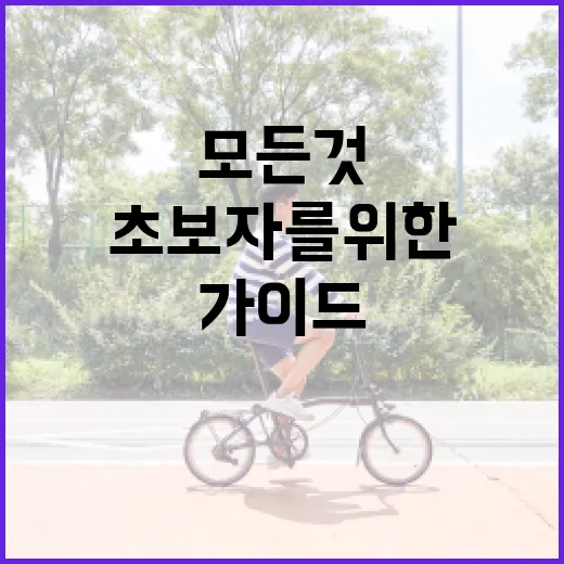 착상혈에 대해 알아야 할 모든 것: 초보자를 위한 가이드 - 요약