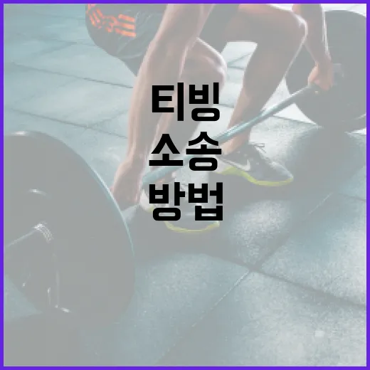 티빙 소송에 대한 이해와 대처 방법 - 요약
