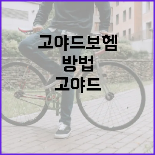 고야드 보헴을 스타일리시하게 활용하는 방법 - 요약