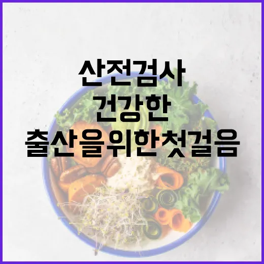 산전검사, 건강한 출산을 위한 첫걸음 - 요약