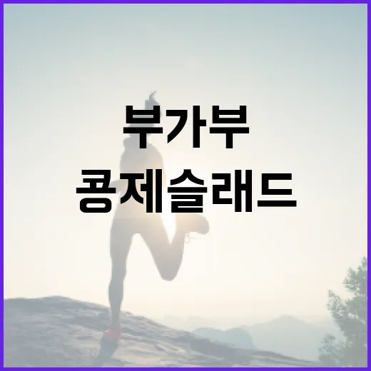 부가부 콩제슬래드로 건강하게 즐기는 법 - 요약