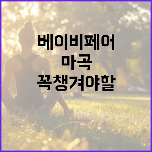 마곡 베이비페어에서 꼭 챙겨야 할 것들 - 요약