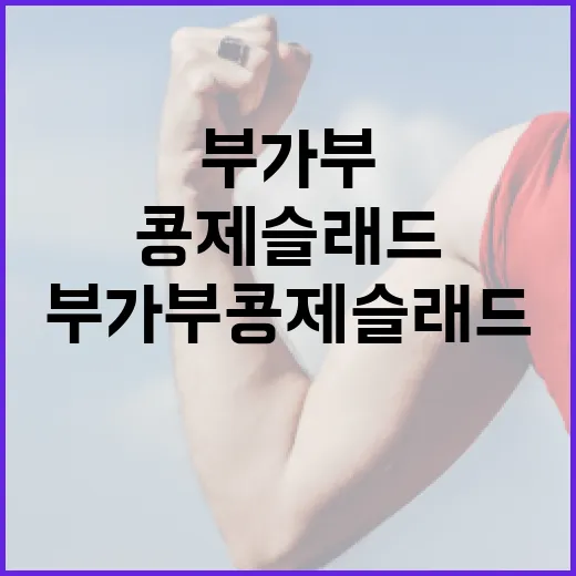 부가부 콩제슬래드로 건강하고 맛있는 식단 만들기 - 요약
