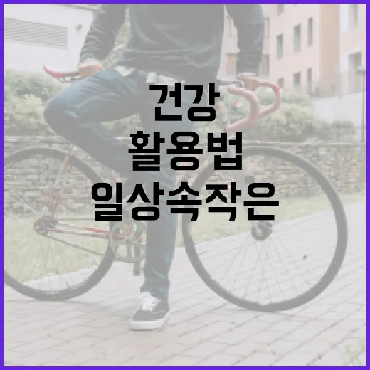 레아레브 활용법: 일상 속 작은 변화로 건강 지키기 - 요약