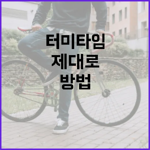 터미타임: 제대로 활용하는 방법 - 요약