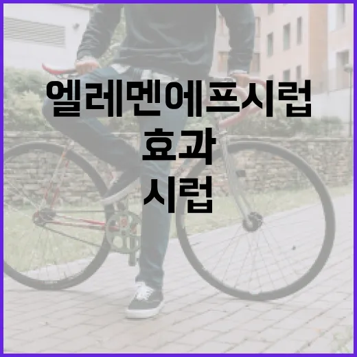 엘레멘에프 시럽 사용법과 그 효과 - 요약