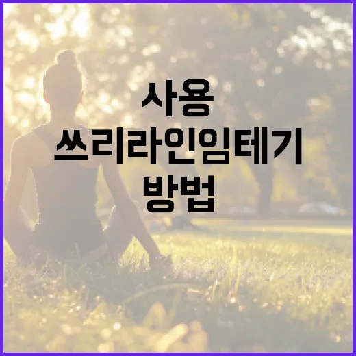 쓰리라인 임테기 제대로 사용하는 방법 - 요약
