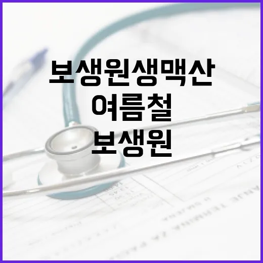 보생원 생맥산으로 여름철 건강 지키는 방법 - 요약