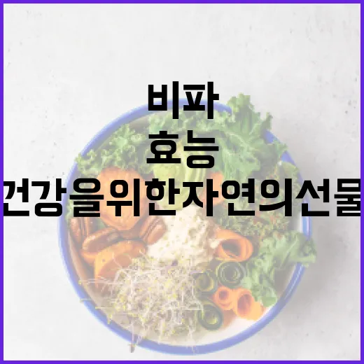 비파의 놀라운 효능, 건강을 위한 자연의 선물 - 요약