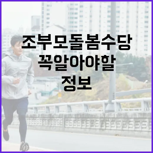 조부모 돌봄수당을 알고 싶다면? 꼭 알아야 할 정보들 - 요약