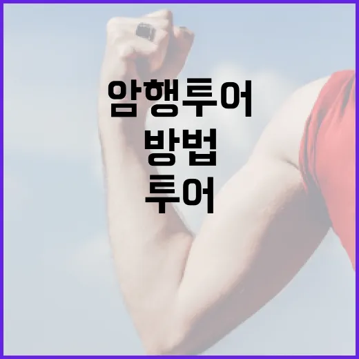 암행투어를 효과적으로 활용하는 방법 - 요약