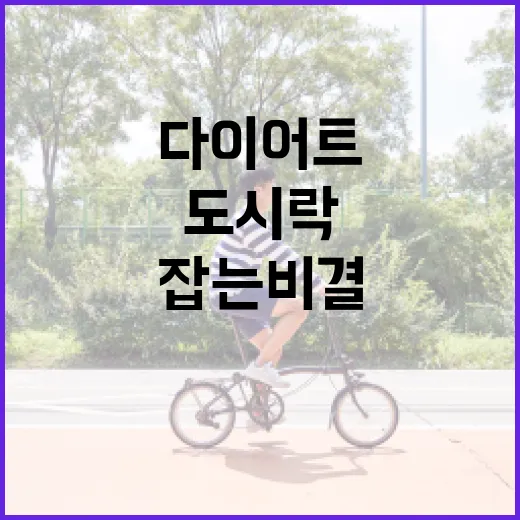남편 도시락, 맛과 다이어트를 동시에 잡는 비결 - 요약