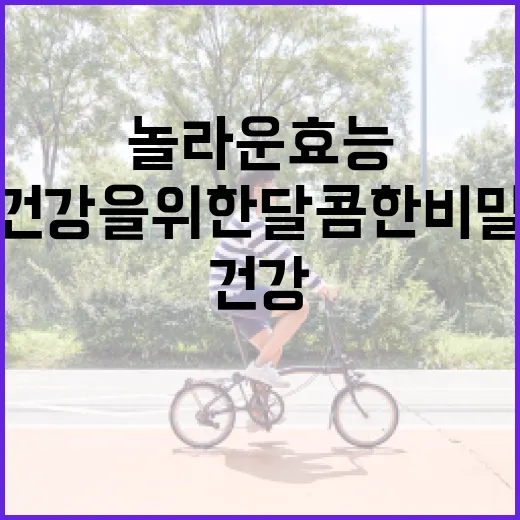 자두의 놀라운 효능: 건강을 위한 달콤한 비밀 - 요약