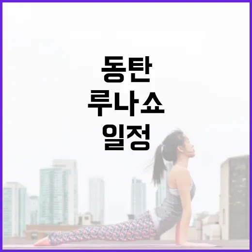 동탄 루나쇼 일정 보러 갈 때, 몇 시에 가면 덜 힘들까요? - 요약