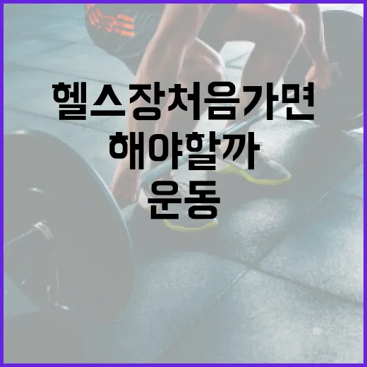 헬스장 처음 가면 운동을 얼마나 해야 할까요? - 요약