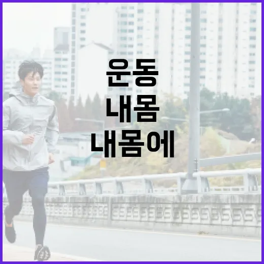 운동기구, 집에 들이기 전에 내 몸에 맞는지 궁금하신가요? - 요약