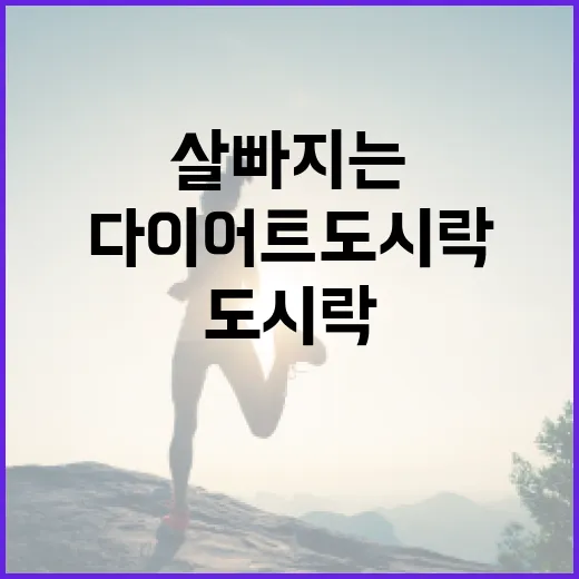 다이어트도시락, 정말 살 빠지는 식사로 만들고 계신가요? - 요약