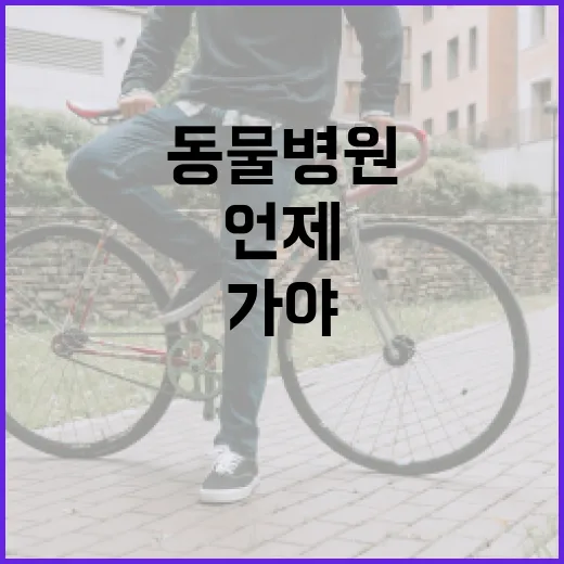 동물병원, 언제 바로 가야 할지 헷갈리고 계신가요? - 요약