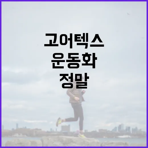 고어텍스운동화, 발 건강에는 정말 더 편할까요? - 요약