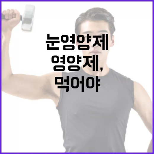 눈영양제, 정말 먹어야 할 때가 궁금하신가요? - 요약