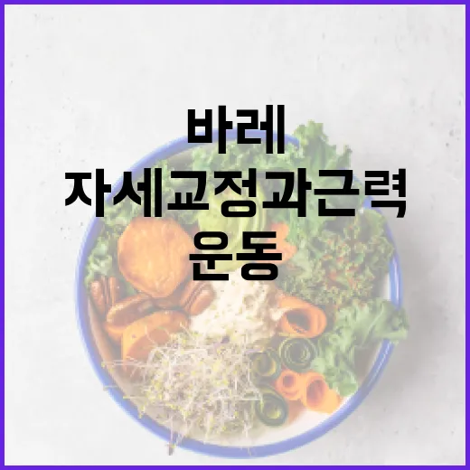 바레운동, 자세 교정과 근력에 정말 괜찮을까요? - 요약