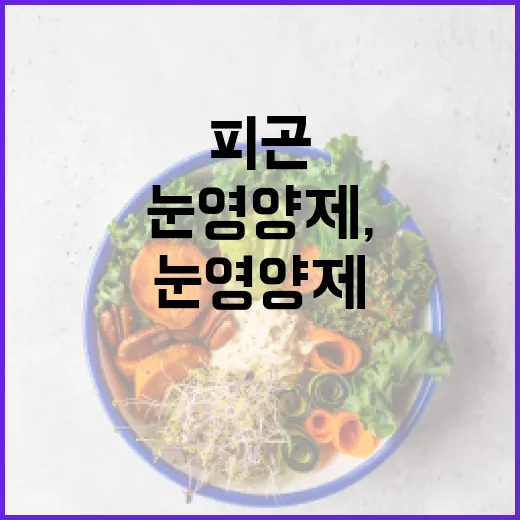 눈영양제, 피곤한 눈에 정말 필요할까요? - 요약