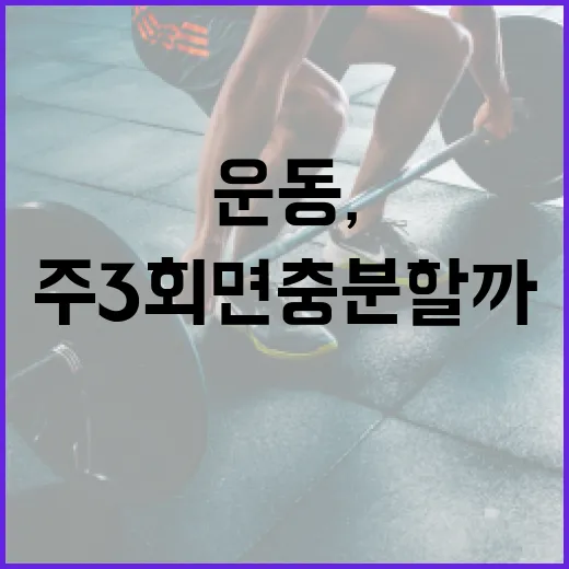 운동, 매일 해야 할까요 아니면 주 3회면 충분할까요? - 요약