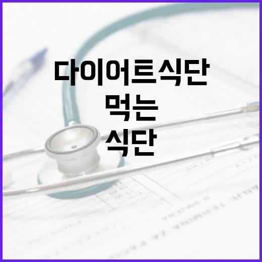 다이어트식단, 적게 먹는 것보다 오래 가는 방식이 궁금하신가요? - 요약