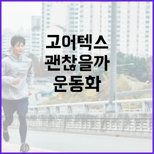 고어텍스운동화, 발 건강에도 정말 괜찮을까요? - 요약