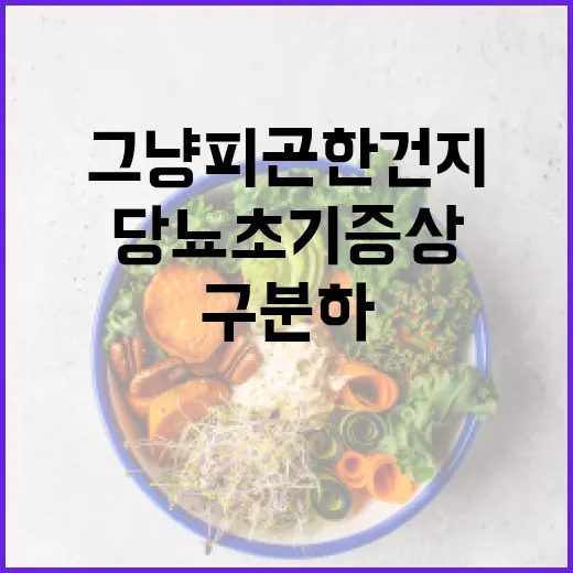 당뇨초기증상, 그냥 피곤한 건지 어떻게 구분하고 계신가요? - 요약